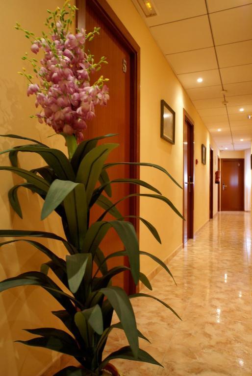 Hotel Mont-Roig Buitenkant foto
